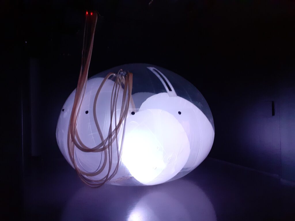 Taideteos Arkkitehtuurimuseossa Another Generosity