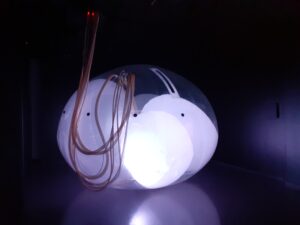 Taideteos Arkkitehtuurimuseossa Another Generosity