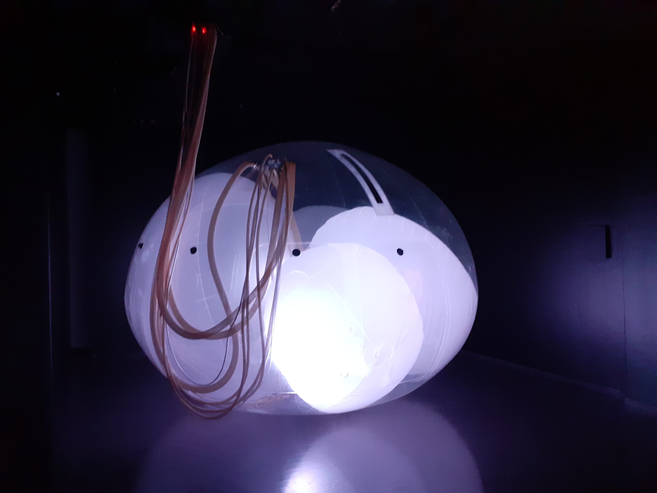 Taideteos Arkkitehtuurimuseossa Another Generosity